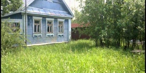 Sadnja tikvica na otvorenom tlu u predgrađu